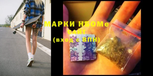 индика Аркадак