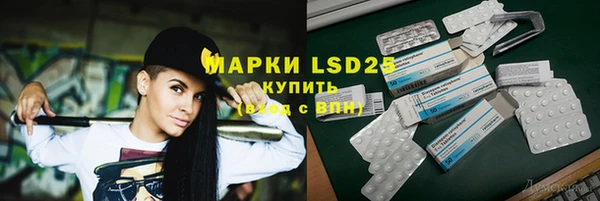 индика Аркадак