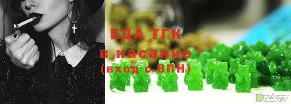индика Протвино