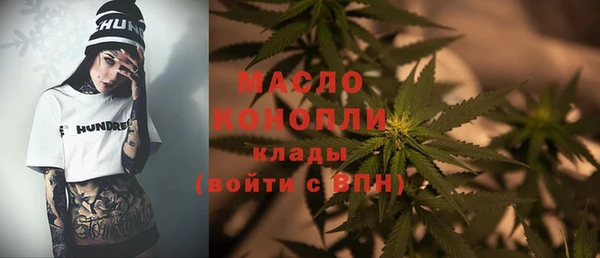 индика Аркадак