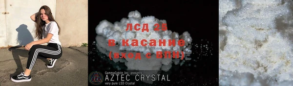 индика Аркадак