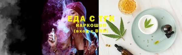 индика Аркадак