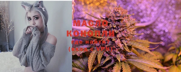 индика Аркадак