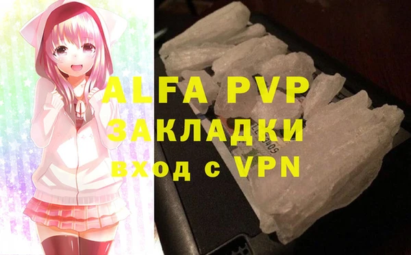 индика Аркадак