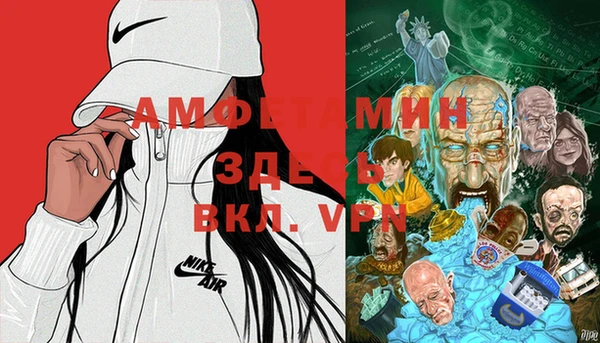индика Аркадак