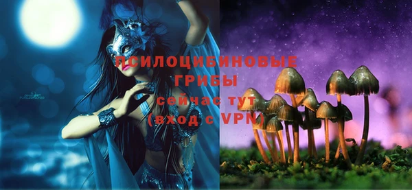 гидропоника Арсеньев