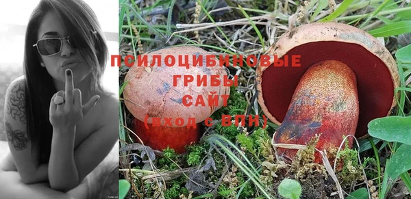 гидропоника Арсеньев