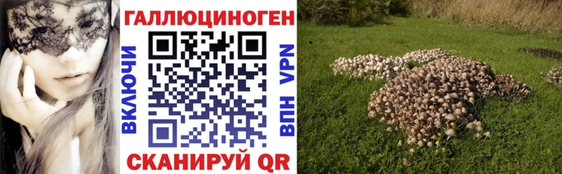 Галлюциногенные грибы прущие грибы  Нижние Серги 