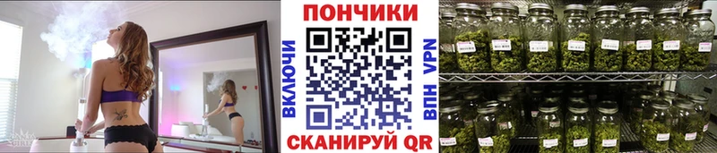 Бошки Шишки ГИДРОПОН Нижние Серги